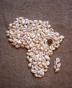 seeds are arranged in the shape of an elephant's head