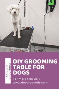 a white dog standing on top of a table