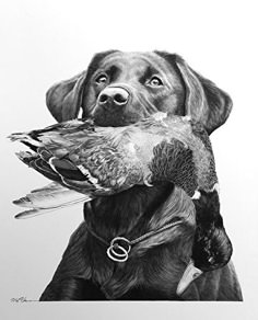 a drawing of a dog holding a duck in its mouth