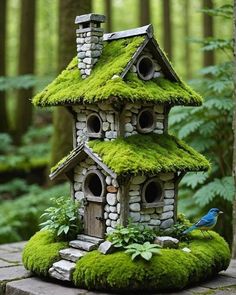 a birdhouse with moss growing on the roof