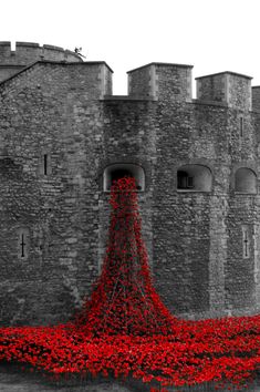 a castle with red flowers growing out of it