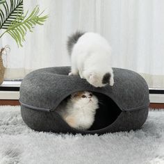 two kittens are playing with each other in the cat bed