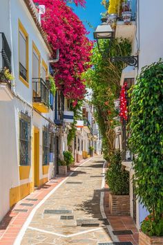 an empty street lined with white and yellow buildings next to green trees on either side