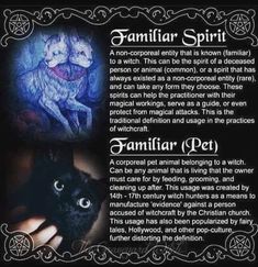 Animals As Omens, Animal Omens, Find Your Spirit Animal, Witch Life, Cat Spirit, Witch Tarot