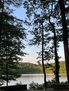 a bench sitting in the middle of a forest next to a lake