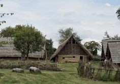 an old log cabin in the middle of a field with sheep grazing on the grass