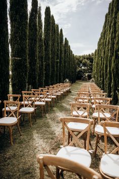 rows of chairs are lined up in the grass