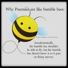 a bee with the caption'why preems, are like bumble bees? '