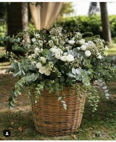 a basket filled with white flowers sitting on top of a grass covered park area next to trees