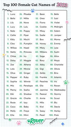 the top 10 female cat names of 2020, with cats in different colors and sizes