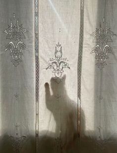 How To Disappear, Southern Gothic, Jolie Photo, White Aesthetic, White Cat, Mood Boards, Dream Life, Aesthetic Pictures, Cottage