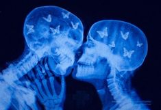 two skeletons with butterflies on their heads are shown in blue light, and one skeleton is facing each other