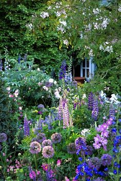 a garden filled with lots of colorful flowers and greenery next to a house in the background