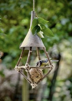 a bird feeder hanging from a tree branch