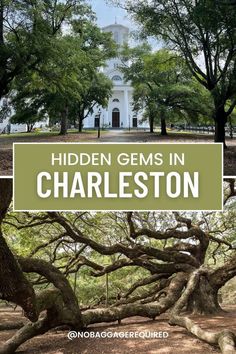 the hidden gems in charleston with text overlay