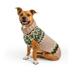 a dog wearing a sweater sitting on the ground with it's tongue hanging out