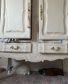 a cat laying on the floor underneath a white armoire