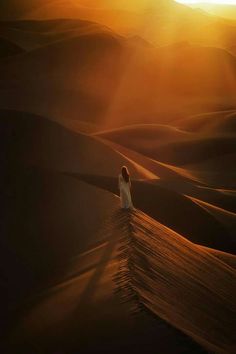 a woman standing in the middle of a desert at sunset with her back turned to the camera