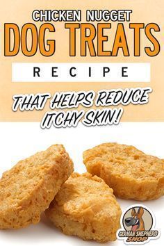 chicken nugget dog treats recipe for dogs