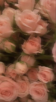 Soft Cute Aesthetic Pfp, Juliacore Aesthetic, Flower Aesthetic Vintage, Visuell Identitet, Vintage Flowers Wallpaper, Aesthetic Roses, Flowery Wallpaper, Rosé Aesthetic