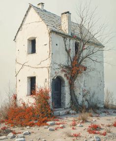 an old abandoned house with red flowers growing out of it's windows and door