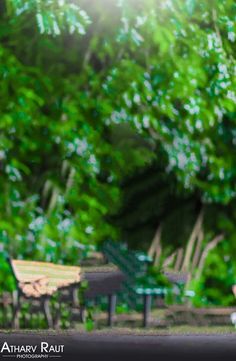 a woman is sitting on a bench in the park