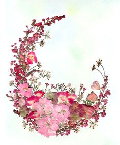 an image of flowers arranged in the shape of a crescent