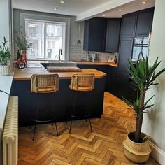 a kitchen with black cabinets and wooden flooring next to a plant in a pot