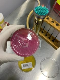 a person in white gloves is holding a petri dish with yellow and green liquid