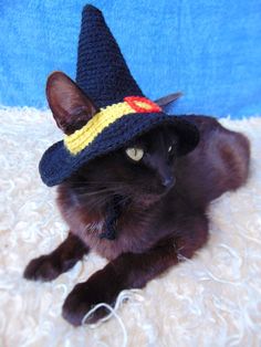 a black cat wearing a crocheted witches hat