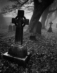 an old cemetery with tombstones and trees in the background on a foggy day