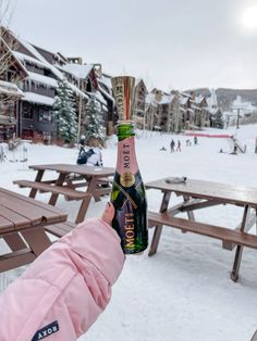 a person holding up a bottle of champagne in the snow