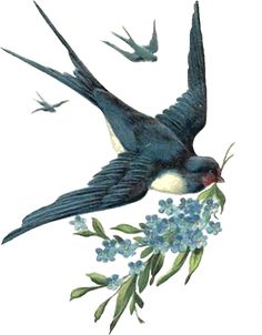 two birds are flying next to each other with blue flowers in the foreground and one bird has its beak open