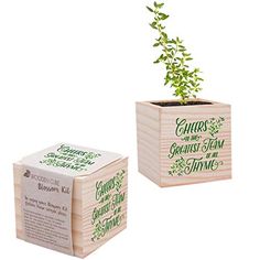 a small wooden box with a plant growing out of it's top and another box next to it