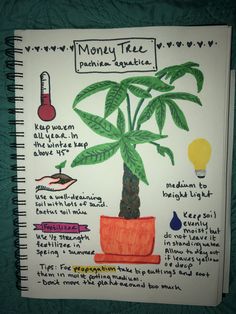 a notebook with an image of a palm tree and other things on the page below it