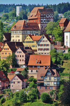 a city with lots of buildings and trees