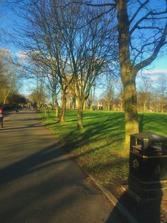 a man riding a bike down a street next to a park filled with lots of trees