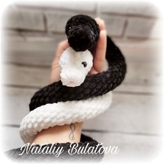 a hand holding a black and white snake