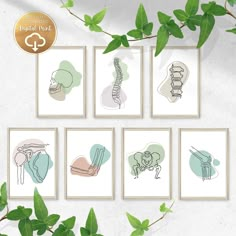 six framed art prints with different types of medical items on them and some green leaves in the background