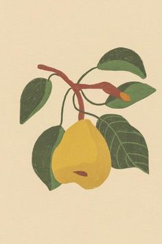 an illustration of a pear on a branch with leaves