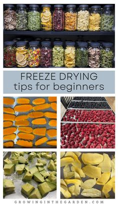 different types of fruits and vegetables are shown in this collage with the words freeze driving tips