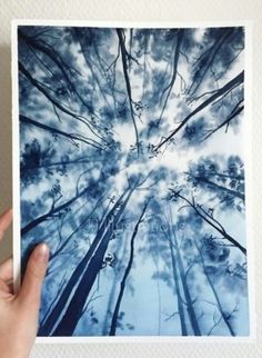 a person holding up a photo with trees in the background and clouds above them, taken from below