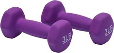 two purple dumbbells sitting next to each other