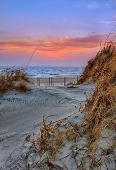 a beach scene with the sun setting in the distance and sand dunes to the side