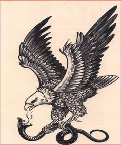 an eagle with a snake on it's tail