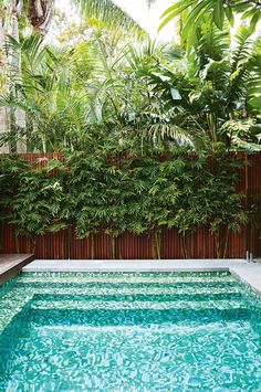 an outdoor swimming pool surrounded by greenery and wooden fenced in area with benches on the side