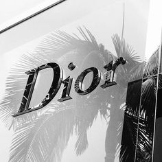 a black and white photo of the word dior written in large letters next to a palm tree