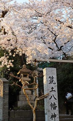 a tall white tree sitting next to a stone pillar with writing on it's sides