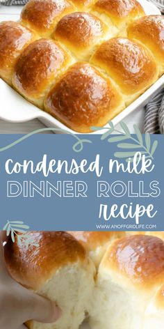 Homemade condensed milk dinner rolls in dish Milk Dinner Rolls, Dinner Rolls Recipe Homemade, Dinner Rolls Easy, Sweet Dinner Rolls, Milk Bread Recipe, Sweet Condensed Milk, Homemade Bread Recipes Easy, Condensed Milk Recipes, Milk Bread