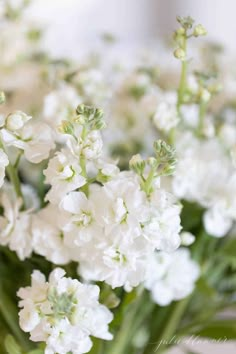 white flowers are in a glass vase on the table